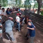 Jóvenes de la Escuela Agraria Rural N° 1 de Hilario Ascasubi participan en jornada de prácticas ganaderas