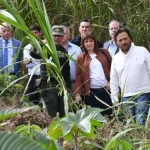 Salta: El Ministerio de Seguridad de la Nación Pondría un Alambrado en la Frontera que limita con Bolivia