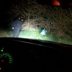 La Región: Muñeca Atada a una silla genera terror en Coronel Dorrego