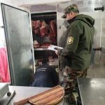 DOS CARNICERÍAS DE PEDRO LURO INSPECCIONADAS POR IRREGULARIDADES SANITARIAS.