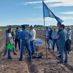 Jornada de campo en el INTA Ascasubi: Cebolla y riego por goteo con reservorio