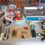 La Región: Allanamiento Positivo en Bahía San Blas por Varios Casos de Abigeato