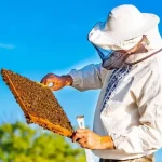 Buenos Aires se consolida como motor apícola y será sede del Congreso Latinoamericano