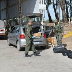 Policiales: Cayeron con casi tres kilos de cocaína en el Fitosanitario
