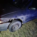 Hilario Ascasubi: Un Jabalí Provocó Un Siniestro Vial En La Ruta Nacional 3
