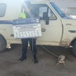 Policiales: Maltrato Animal En Pedro Luro, Allanamiento Y Secuestro De 5 Animales