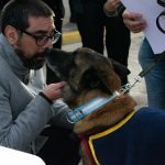 LA REGIÓN: Reconocen en Punta Alta a perros que ayudaron en el rescate tras el sismo en Venezuela