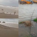 Villarino: La Sudestada Afectó al Balneario La Chiquita