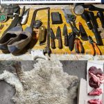 Pradere: secuestran 156 kilos de carne en una investigación por abigeato