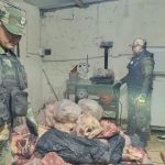 Médanos: Desbaratan Faena Clandestina y Secuestran 600 Kilos de Carne Sin Trazabilidad