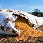 Vandalismo Rural: Proponen Penas de Hasta 10 Años de Prisión